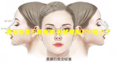 龚玥菲是不是隆胸 假体隆胸200隆小了